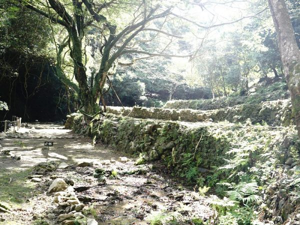 かつての棚田が、近年は石垣のみが残され、荒れてしまっていたが、キャンプ場として再活用。“社用車”として小型ショベルを購入し、専門事業者に依頼するだけでなく自分たちでもコツコツと整備しているという