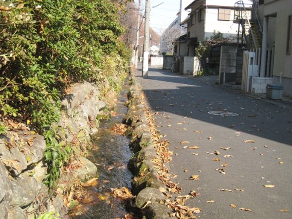 地図を友に成長、世界を広げてきた経緯から始まり、さまざまな話を伺った