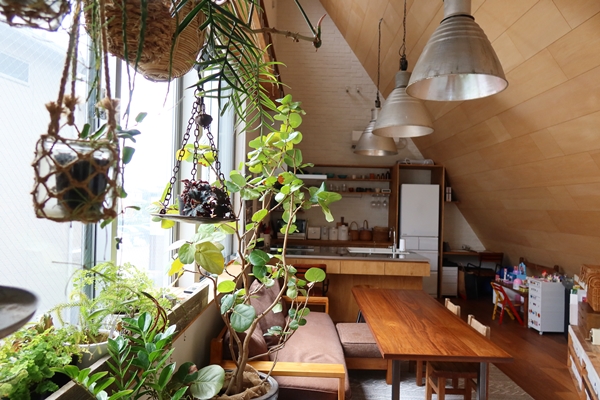 建物の断面図。屋根がイコール壁であるという点がお分かりいただけるだろうか(図面提供:DOG一級建築士事務所)