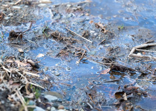 土壌汚染は健康被害に結び付くリスクだ