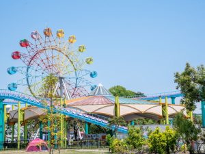 テーマパークで開催されたという成人式 ※画像はイメージ