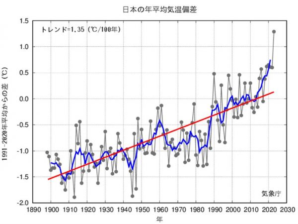 日本の平均気温の推移。100年間でおよそ1.3℃上昇している(出典:環境省「脱炭素ポータル」)