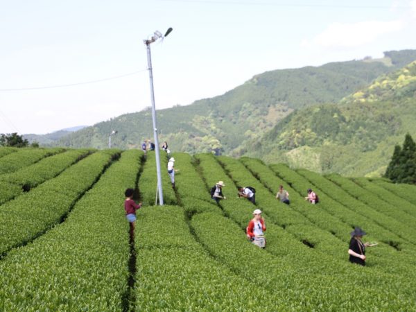 世界を旅する坂本さんと、ウルグアイの元大統領ホセ・ムヒカさんとのツーショット。真の幸せを追求する姿勢で知られ、「世界一貧しい大統領」としても有名な人物だ。坂本さんはホセ・ムヒカさんとの出会いで、その後の人生に影響を受けたそうだ(画像提供:坂本さん)