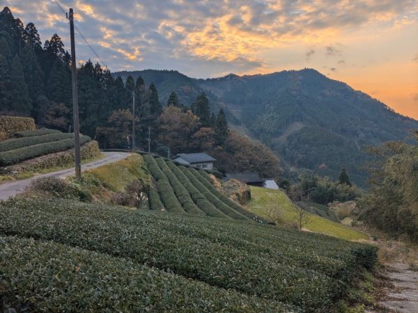 古民家を宿にするためのリノベーション工事。多くの仲間が協力してくれた(画像提供:坂本さん)