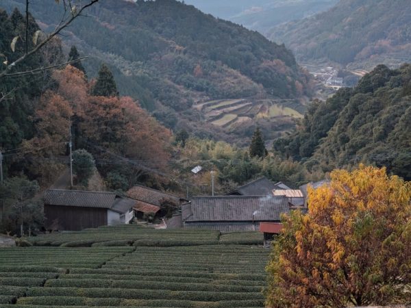 八女市の市議会議員選挙の期間中、坂本さんは息子とともに自身のポスターの前で撮影(画像提供:坂本さん)