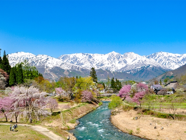 ▲良質な雪質だけが白馬の自慢ではない。村民の多くが「豊かな自然環境」を地元の誇りとしており、その景観や環境を守ることが村民の使命だと捉えているようだ。白馬を訪れる我々観光客側も村民意識を尊重したいものだ(白馬村の春の風景/白馬村公式観光サイトより)