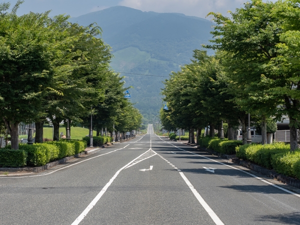 写真右奥に見えるのが那岐山。奈義町現代美術館の借景になっており、見事な景観をつくり出している