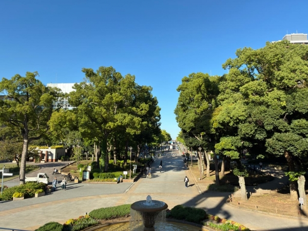 横浜公園(日大大通り方面を撮影) ※2025年10月撮影