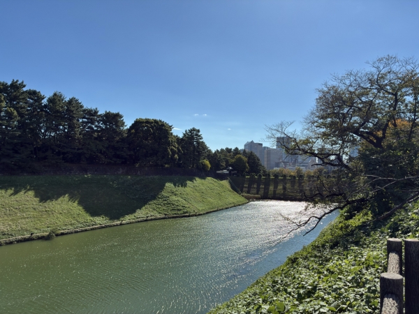 半蔵濠(半蔵門方面を望む) ※2025年11月撮影