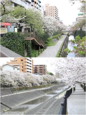 正面奥が多摩センター駅。ウォーカブルな暮らしやすい街づくりも特徴のひとつ