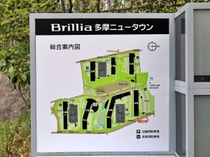5階建て23棟・640戸の分譲団地が、11~14階建て7棟・1249戸のマンションに生まれ変わった壮大な事業は、「日本最大級の建替え」として注目を集めた