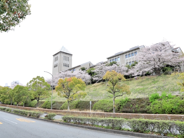 まるで高速道路のような多摩ニュータウン通り。左側は「三井アウトレットパーク多摩南大沢」