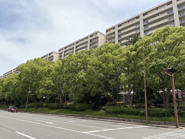 緑と調和した住環境も魅力の1つだ