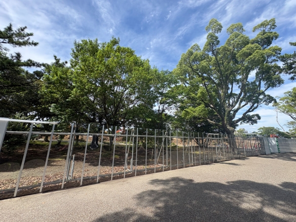 新アリーナのデザインイメージ図 ※出典:豊橋市中心市街地活性化基本計画2026-2031