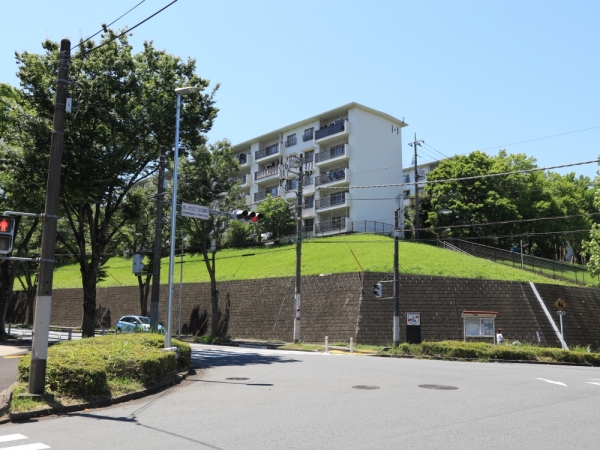 歴史を感じるマンションも建っている。ただ、寂れた感じではなく、生活感があった