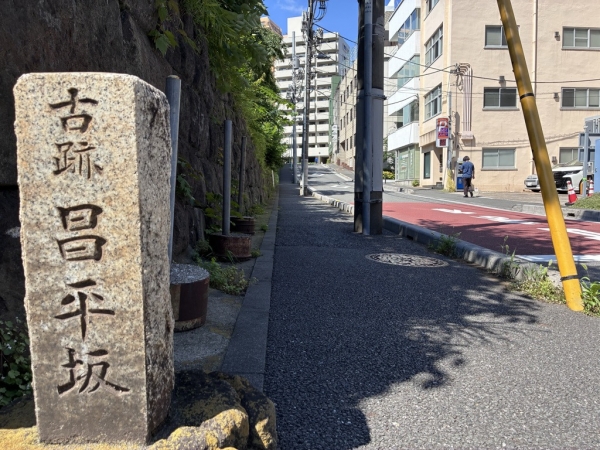 左:広重『名所江戸百景 湯しま天神坂上眺望』、魚栄、安政3。右:広重『名所江戸百景 昌平橋聖堂神田川』、魚栄、安政4 ※出典:国立国会図書館デジタルコレクション