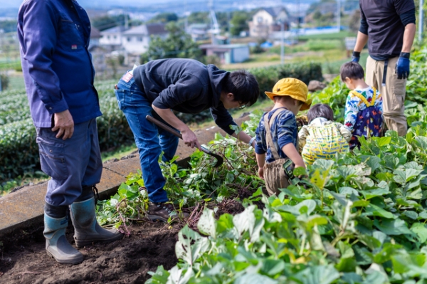ニーズに合わせて多様化する市民農園