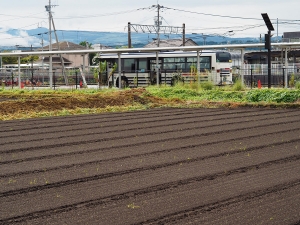 原水駅近くの農地の向こうに見えるセミコン通勤バスの乗り場。農業の風景と半導体産業を支える通勤インフラが隣り合う