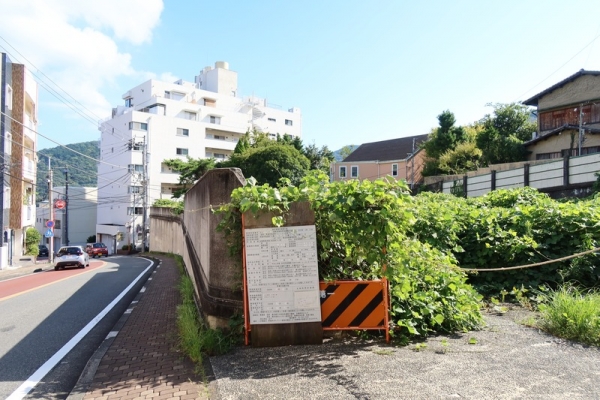 平和通り商店街の賑わい。最近はいつでもこんな状況が続いている(筆者撮影)