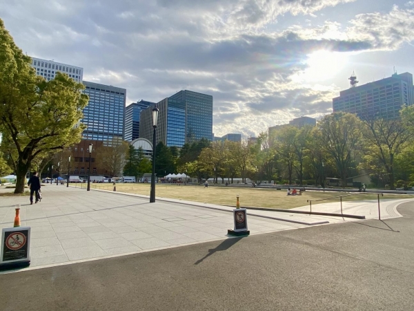 日比谷公園(東京都千代田区)。都が推進する「日比谷公園大改造計画」によって樹木の伐採や移植が行われている。