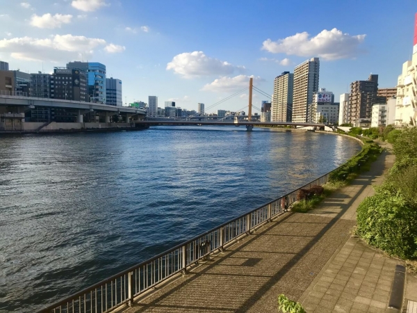 隅田川。東京都の指標であるみどり率には緑のない河川も含まれる
