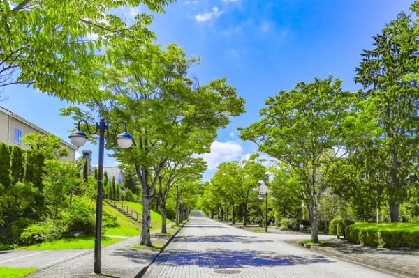 緑豊かな住宅地