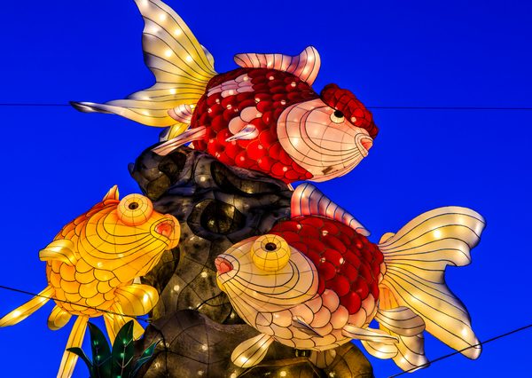 旧正月の時期に長崎で行われる長崎ランタンフェスティバル。2020新地中華街　【長崎市】