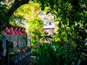 一列にならぶお地蔵様