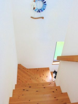 猫は新しい環境に慣れるまで時間がかかる