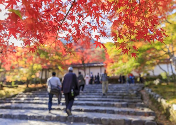 平安時代にはじまったといわれる「紅葉狩り」