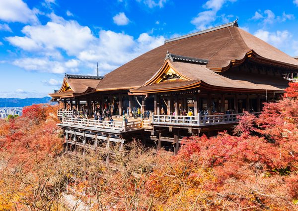 日本各地の観光地でも紅葉が見られる