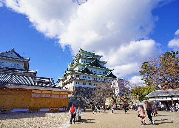 ▲「名古屋城は誰が建てたか？」という質問に対して、ちゃんと答えられる名古屋人は意外に少ない。<br />かの徳川家康が天下統一の最後の布石として築いた『名古屋城』は史上最大の延床面積を誇り<br />昭和5（1930）年に旧･国宝の第一号として指定されたが<br />第二次世界大戦中、昭和20（1945）年5月の空襲で焼失したため国宝指定は解除された。<br />（恥ずかしながら名古屋人である筆者も国宝第一号であった事実を今回の取材で初めて知った）<br />現在は国の特別史跡。築城当時の建材・工法を用いて総工費約150億円をかけ復元工事を行っている本丸御殿は<br />平成30（2018）年に完成予定だ