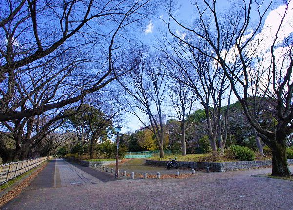 ▲平成29（2017）年2月から着工予定の名古屋城正門前『義直ゾーン』の現在の風景。<br />お堀の桜並木にも近接しているため、春には満開の桜と横丁の賑わいが名古屋城を活気づけてくれそうだ。<br />「最近はインバウンド効果もあって名古屋城を訪れる外国人が増えていますが、<br />残念なことに名古屋を訪れる外国人観光客の多くは『京都』や『高山』へ行く前に途中で立ち寄る人が多いのです。<br />時間はかかると思いますが、名古屋が『通過地点』ではなく『ディスティネーション＝目的地』となるよう、<br />名古屋市を挙げて取り組んでいきたいと思います」と渡邉さん