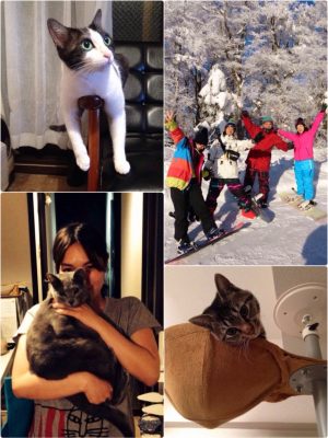 以前暮らしていたQhouseのメンバーとの様子。一緒に暮らす猫たちをみんなでお世話した。この頃の楽しさが忘れられなかったそう