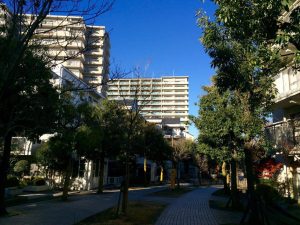 美しい街並みが印象的な鶴牧・落合地区。昭和58年に放映され大ヒットしたテレビドラマ『金曜日の妻たちへ』のロケ地にもなった