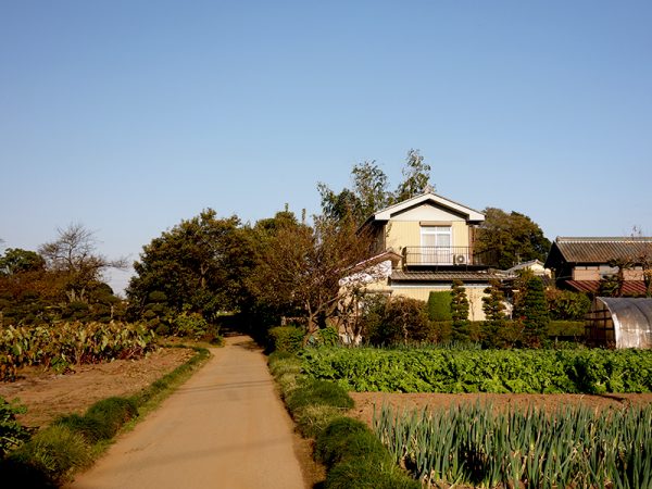 これまで市街化調整区域内の住宅は、そのまま住宅として使うことが原則だった