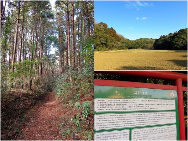 左／森の中を歩くと清々しい気分に。ボランティアの方々の手により整備されているので安心して歩くことができる　</br>右上／谷津田の里山。訪れたのは冬だったが、春～秋には美しい自然が様々な表情を見せて目を楽しませてくれるだろう　</br>右下／坂戸神社の案内板。案内板には見どころポイントが詳細に説明されている