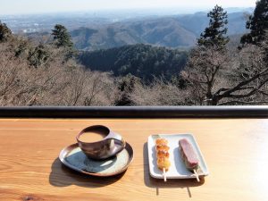 十一丁目茶屋からの眺め。眼下には関東山地が広がり、東京の高層ビル群を遠望できる