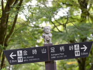 足柄山に住む山姥の子供として生を受けた坂田金時が幼少期を過ごした土地