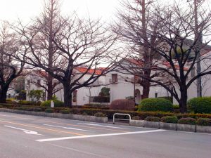 低層住棟が一定の間隔で連続し、外観も整った国立の都市景観