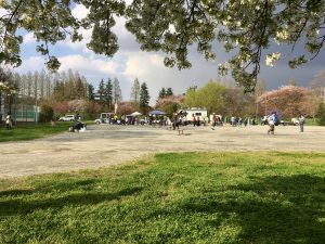棟下式が行われたのは散りかけの桜、八重桜の美しい季節。グラウンドでは映画上映その他のイベント、左側にある建物ではお宝探しなどが行われた