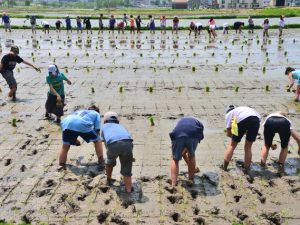 農業体験などを伴う宿泊も「民泊」としてカテゴライズされる場合がある
