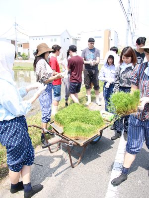 年に一度行われる田植えイベント。収穫時期には自分らで育てたお米を食べるのもイベントの楽しみのひとつ