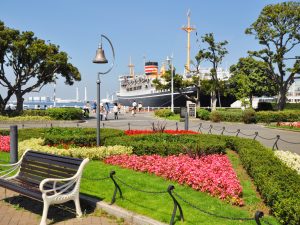 公園は都市にとって大切なインフラになっている