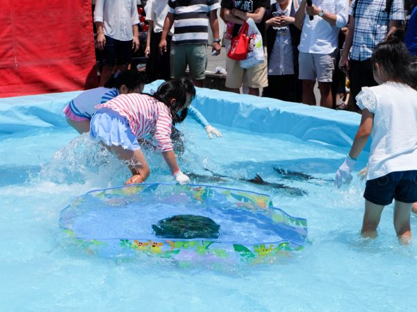 子供たち向けに、カンパチのつかみ取りも開催している