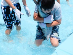 大きなカンパチをつかまえる参加者