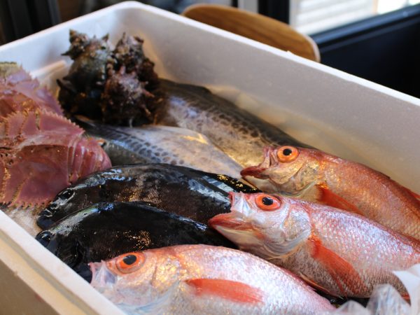 神経締めにより、生きたまま届く魚