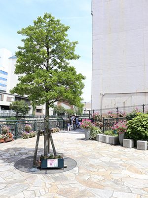 ビルのすぐ隣には、各種イベントなどに活用できる広場が整備されている