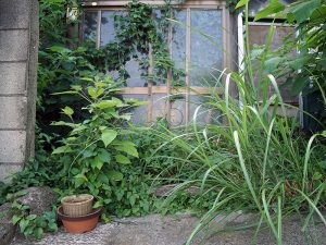 空き家対策への市区町村の取組みが急がれている