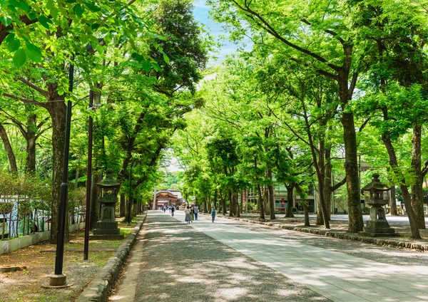 我が国における占いの歴史は古く、卑弥呼の時代まで遡る。江戸時代には街中での辻占いが流行り、土御門家を頂点とした陰陽師の家元制度も確立していた